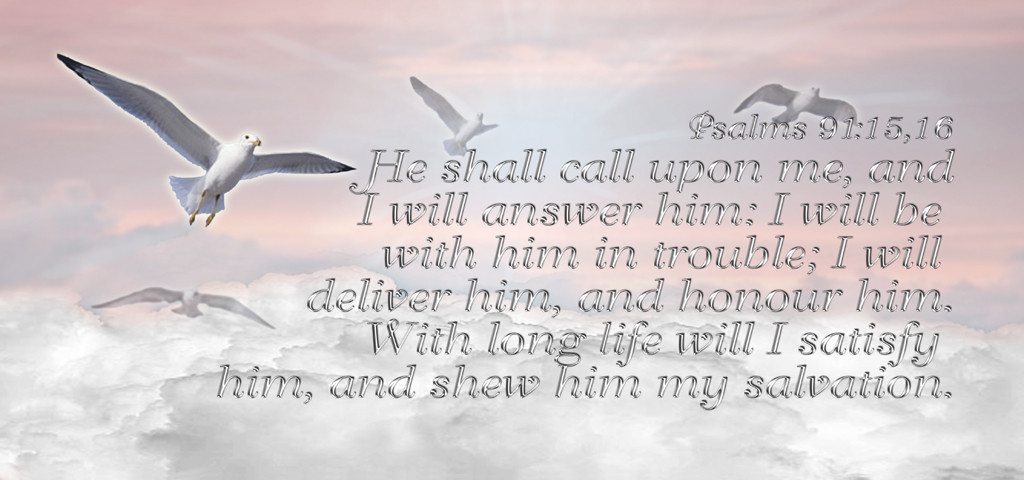 Pink Clouds Birds (Psalm 91) PROOF